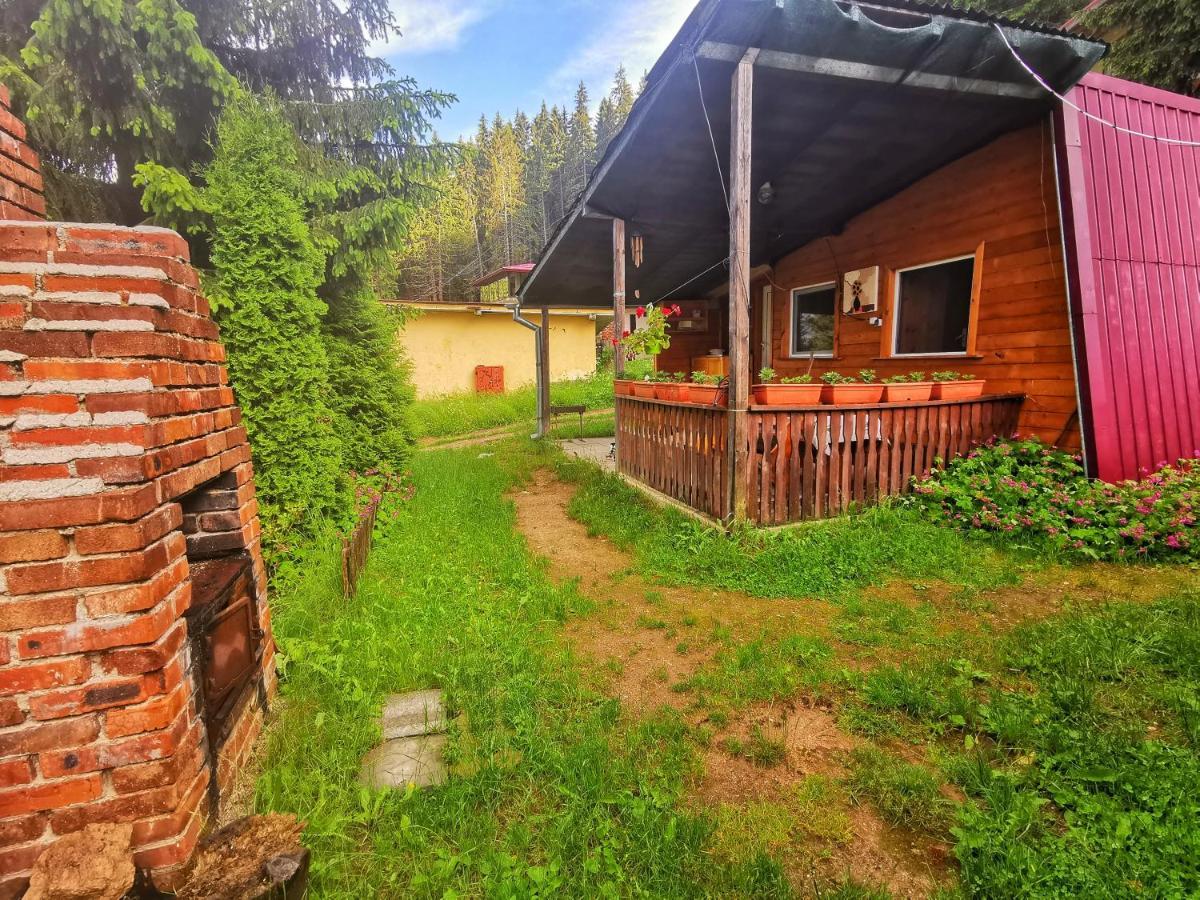 Orlino Holiday Park Sarnitsa Eksteriør bilde