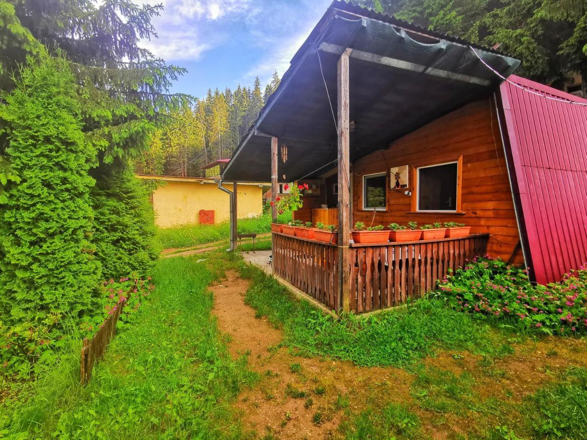 Orlino Holiday Park Sarnitsa Eksteriør bilde