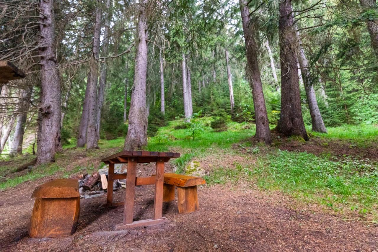Orlino Holiday Park Sarnitsa Eksteriør bilde