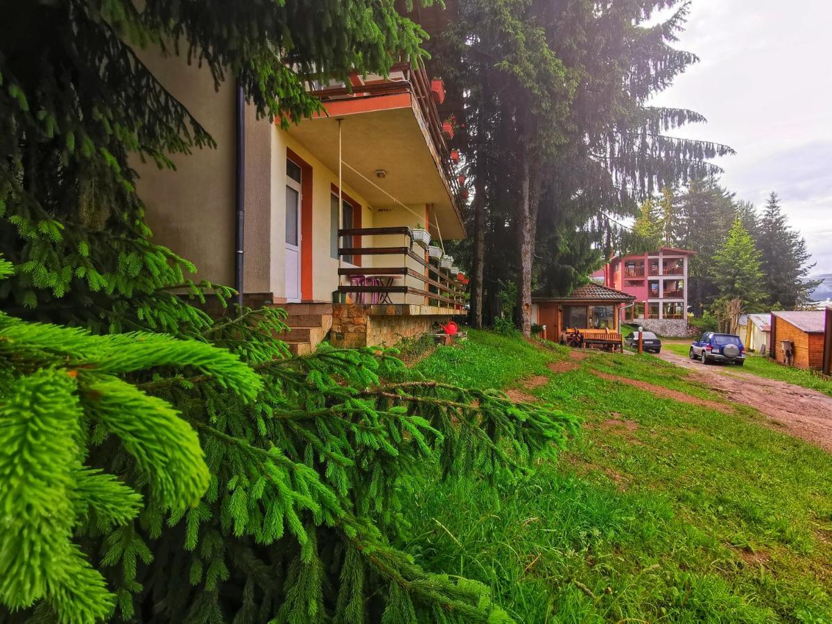 Orlino Holiday Park Sarnitsa Eksteriør bilde