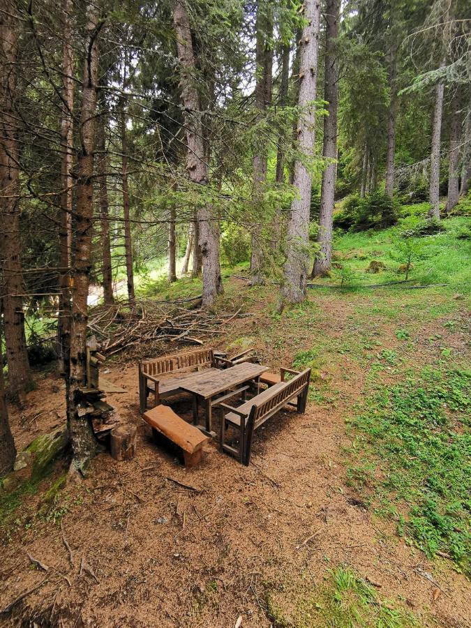 Orlino Holiday Park Sarnitsa Eksteriør bilde