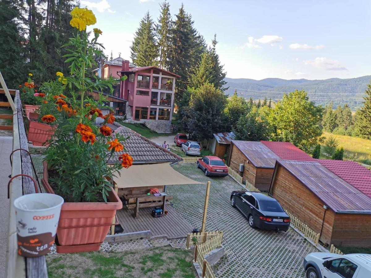 Orlino Holiday Park Sarnitsa Eksteriør bilde